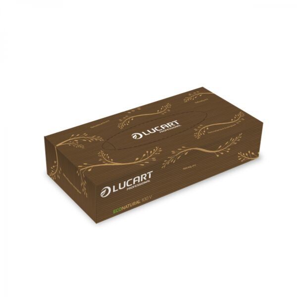 Kosmetiktücher, Eco Natural 100V, 2-lagig 40 Spenderboxen / Karton, 100% recyceltes Material aus Getränkekartons